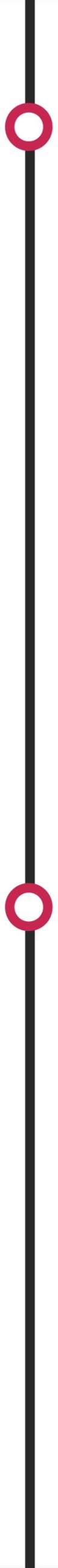 Timeline